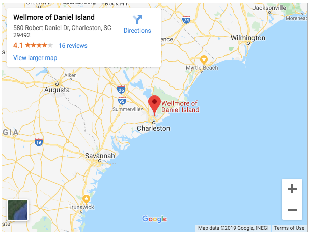 wellmore of daniel island