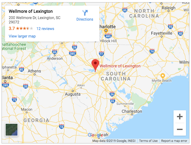 wellmore of lexington